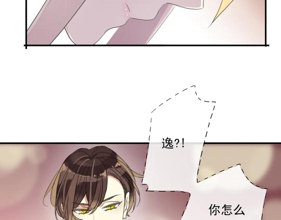 第216页