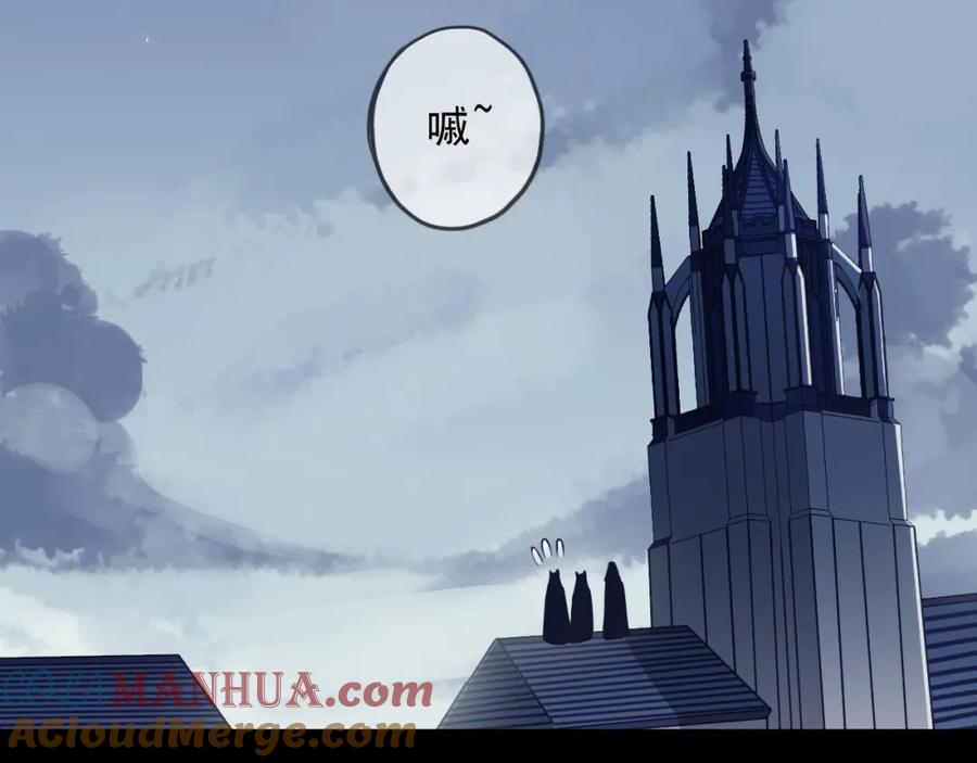 第205页