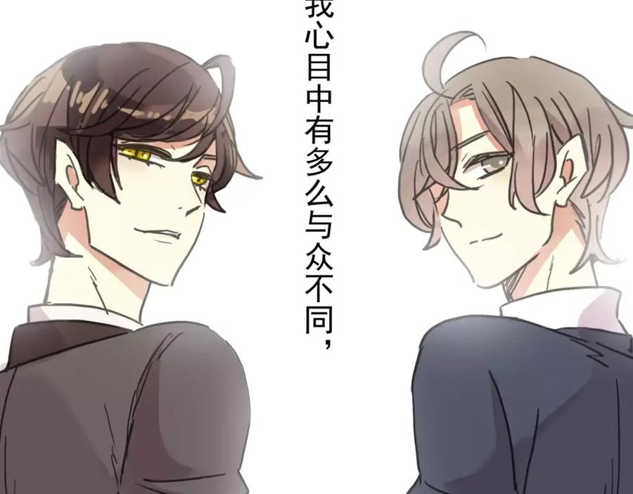 第223页