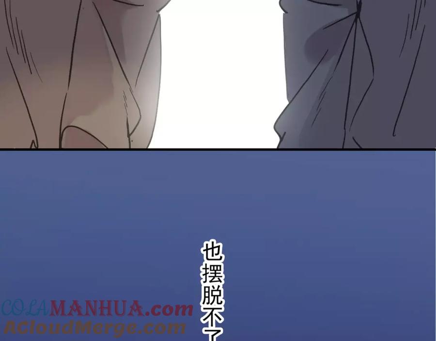 第224页