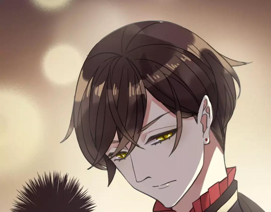 第208页