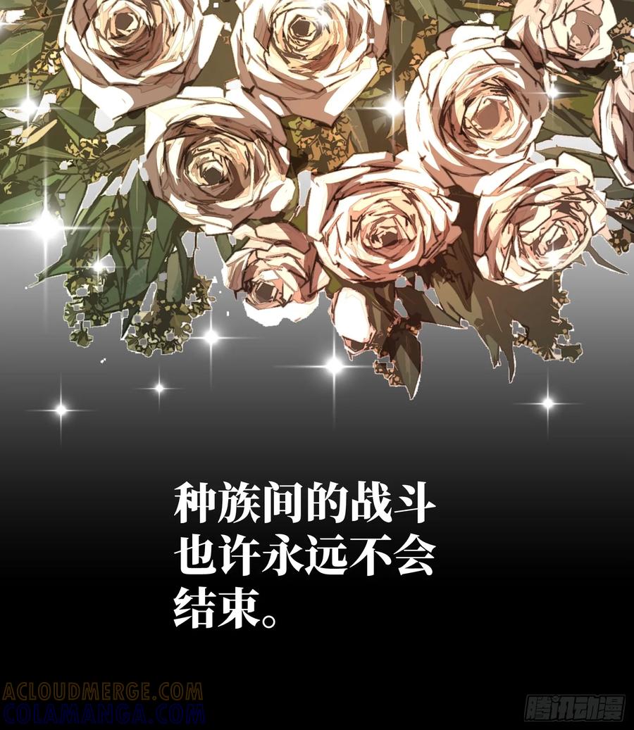 第255页