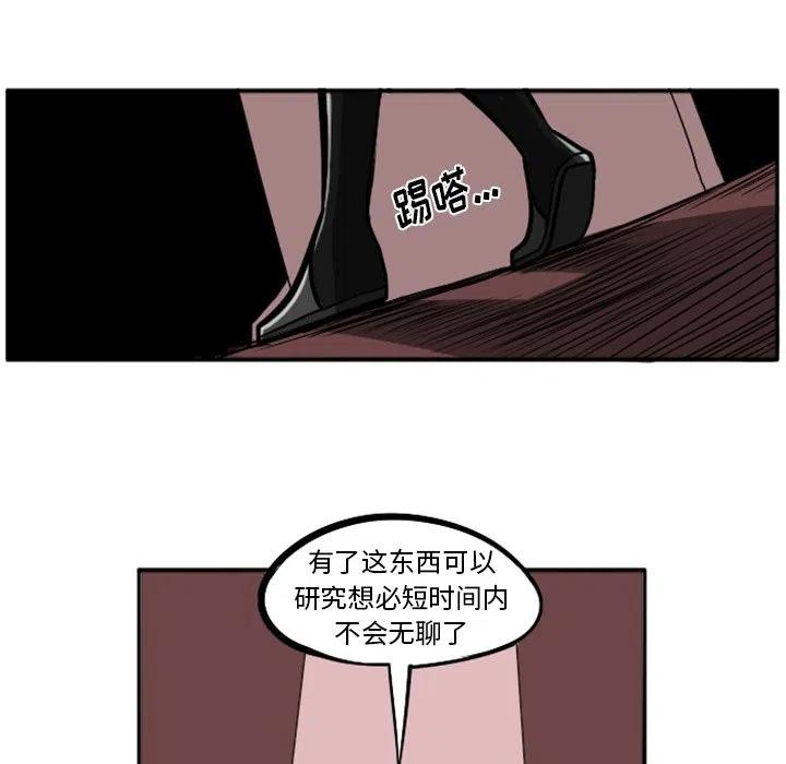 第250页