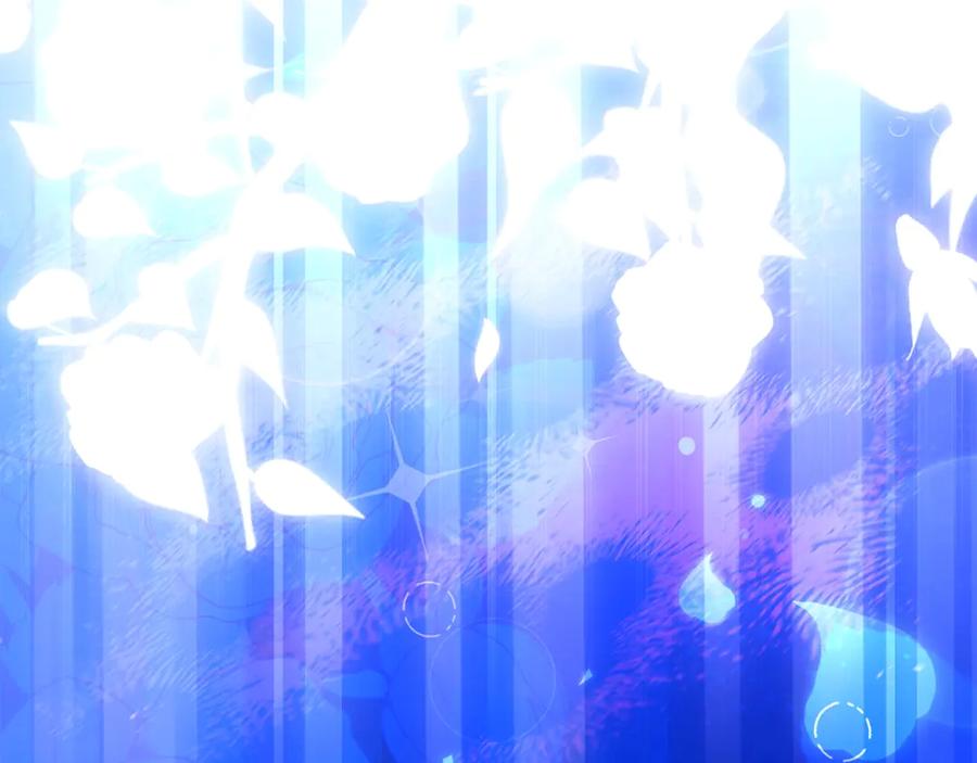 第216页