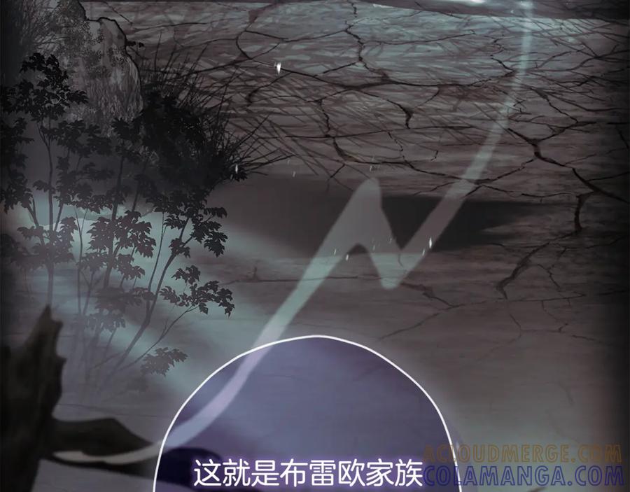 第217页