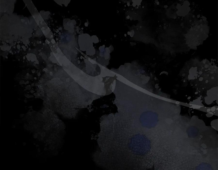 第219页