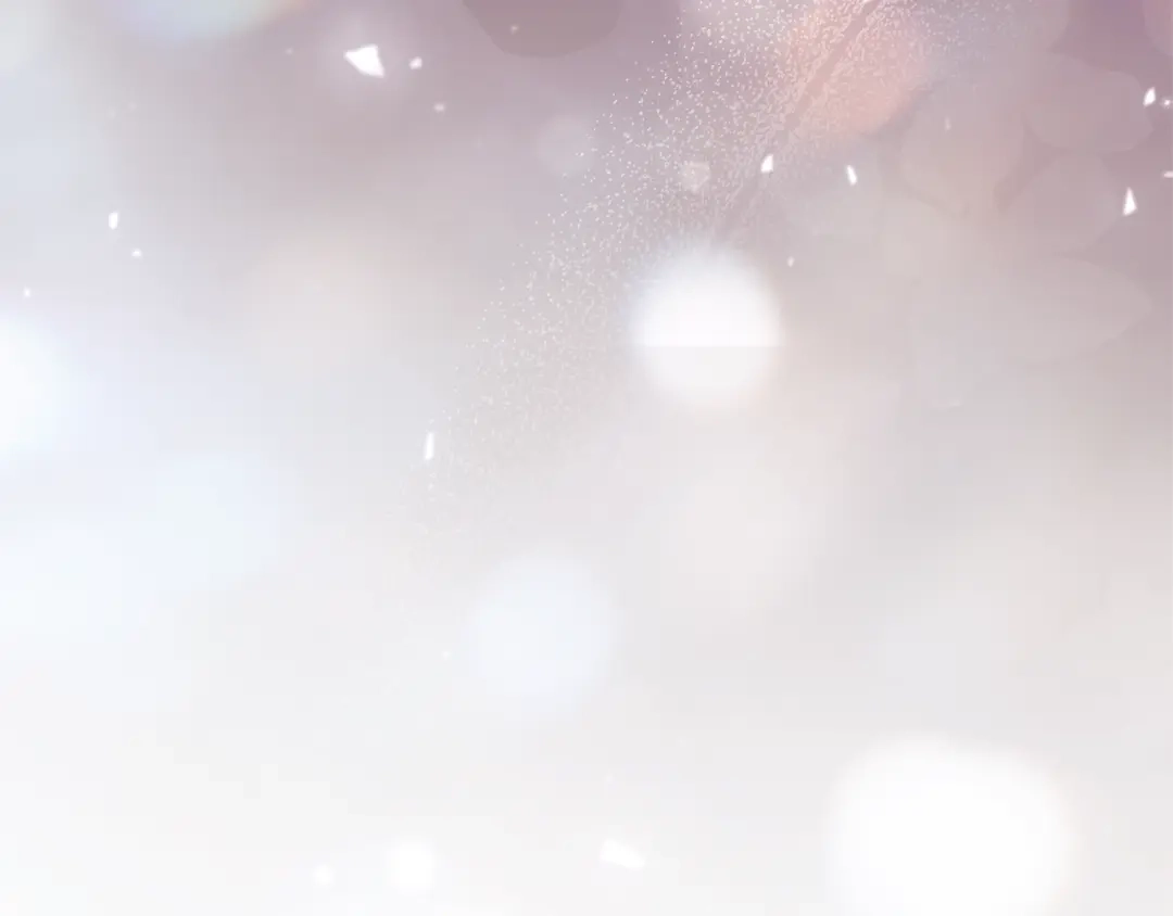 第215页