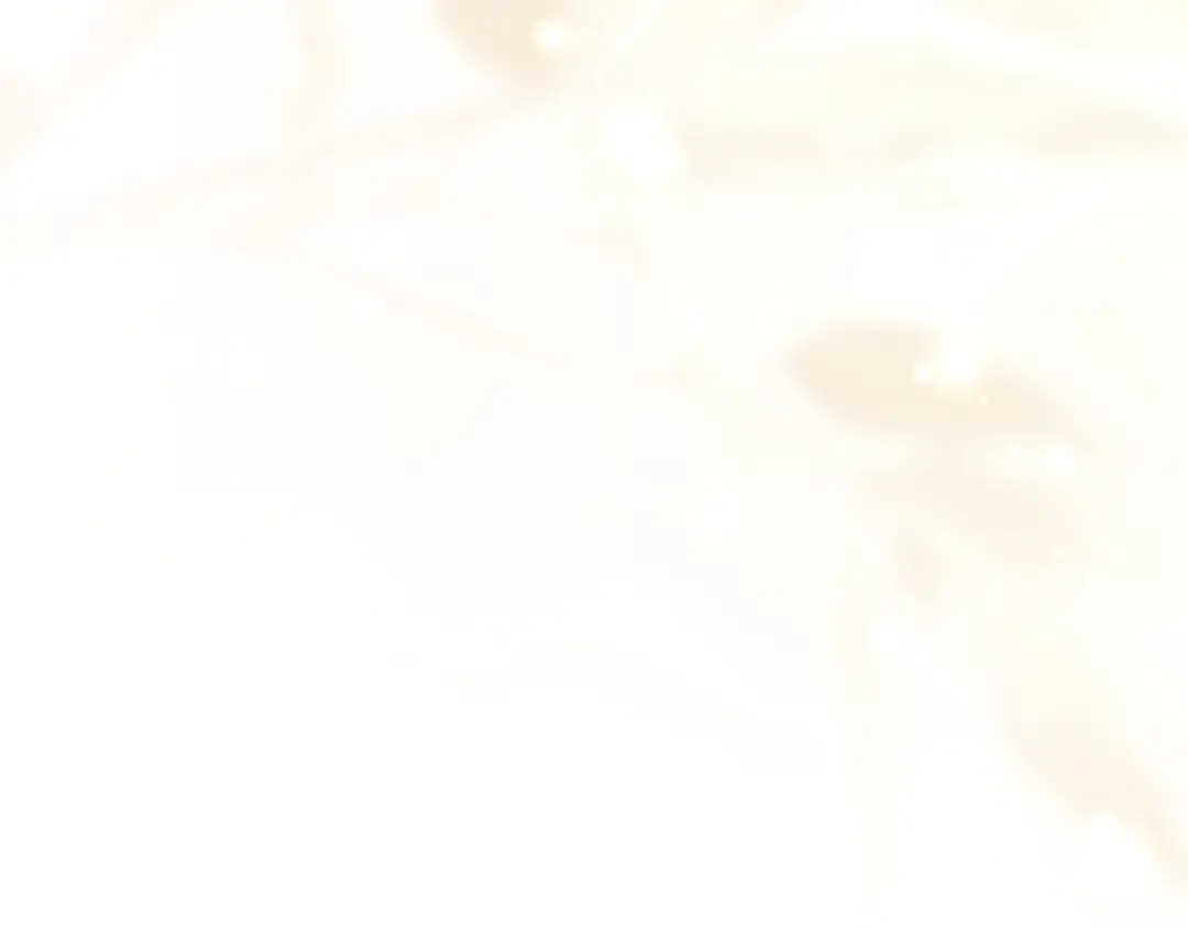 第214页