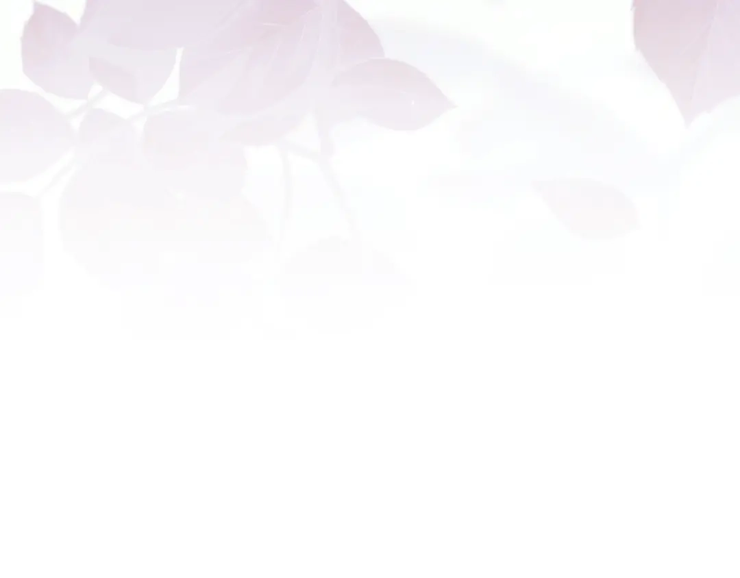 第214页