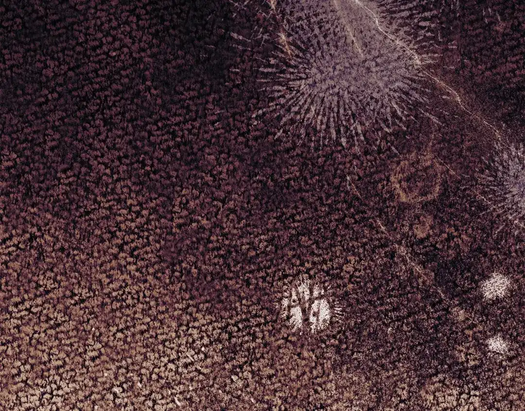 第198页