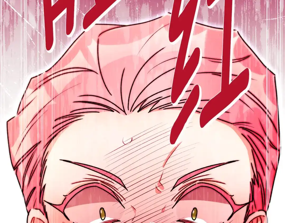 第215页