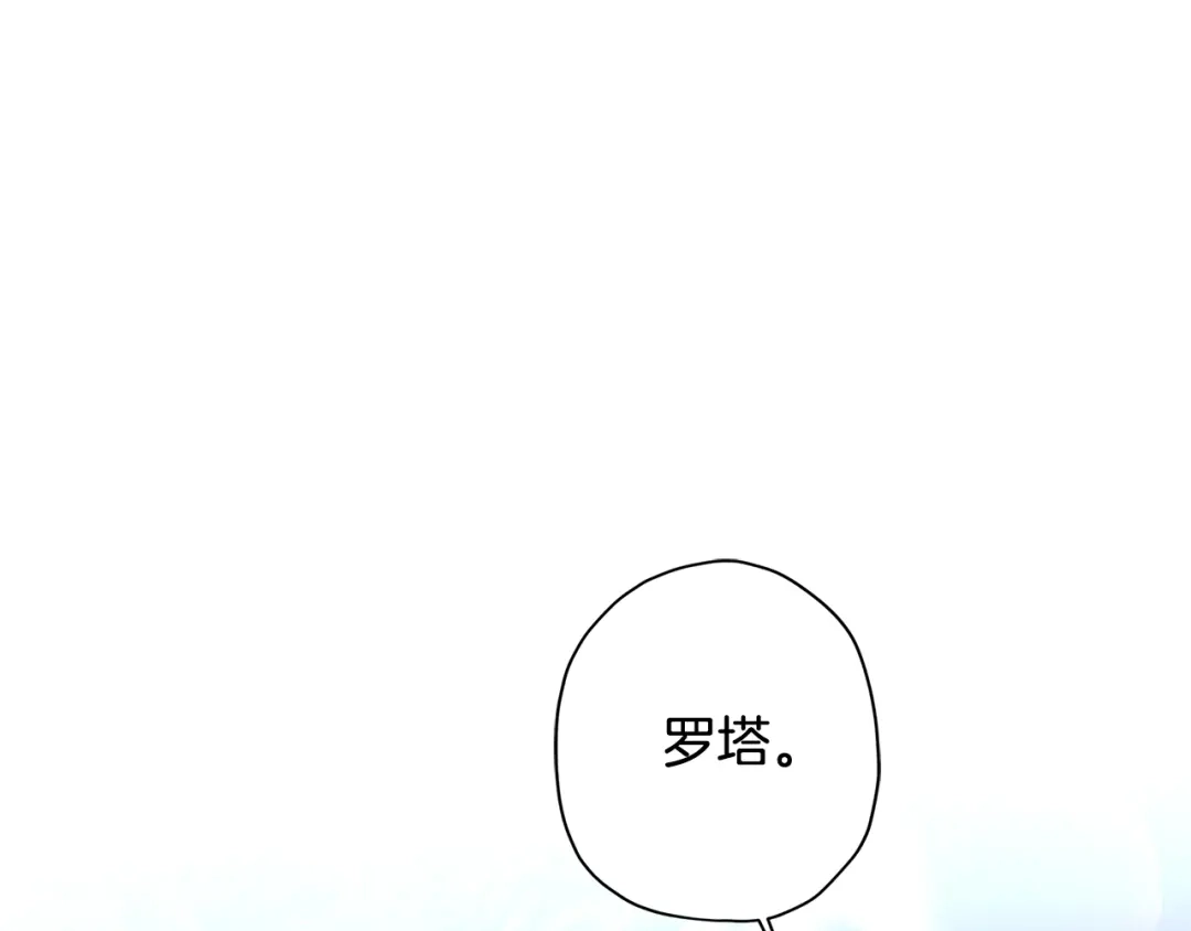 第215页