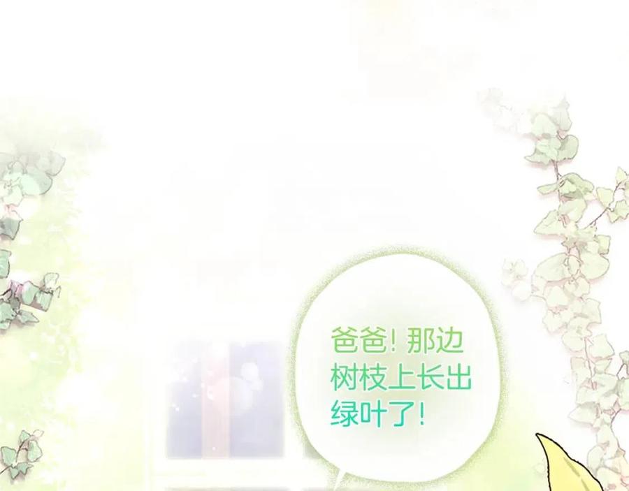 第215页