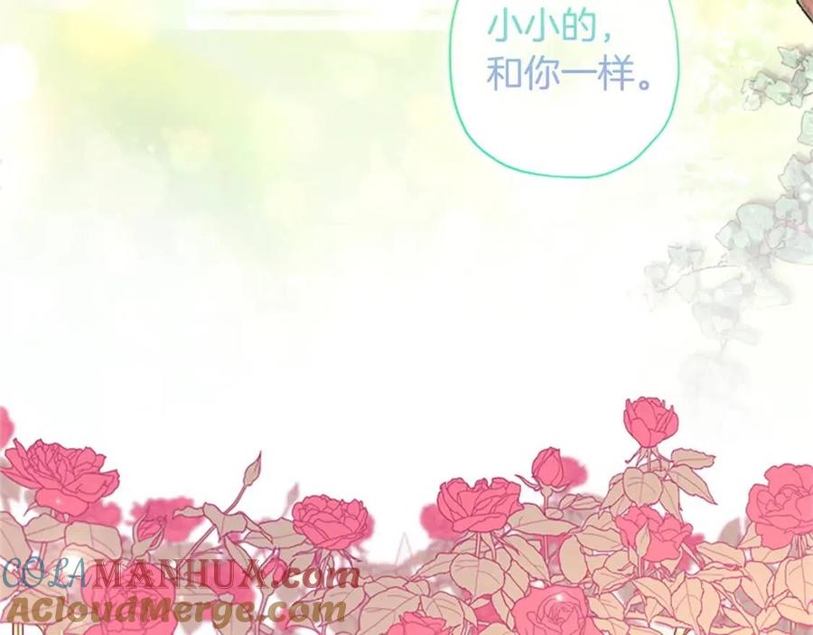 第217页