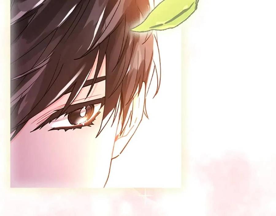 第223页