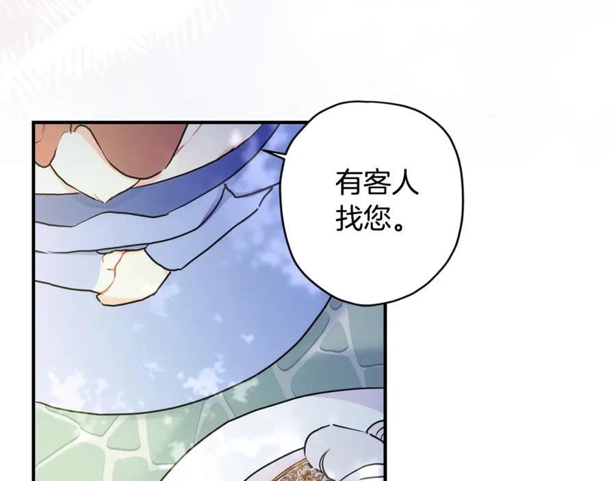 第215页