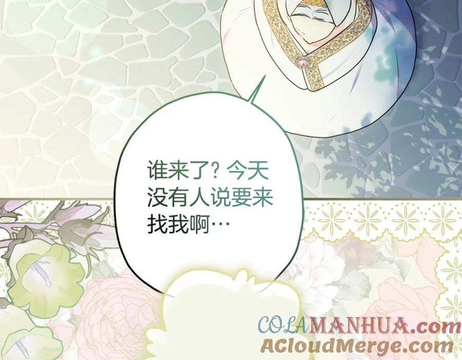 第229页