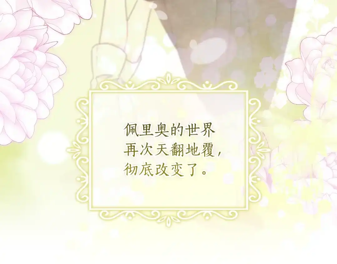 第241页