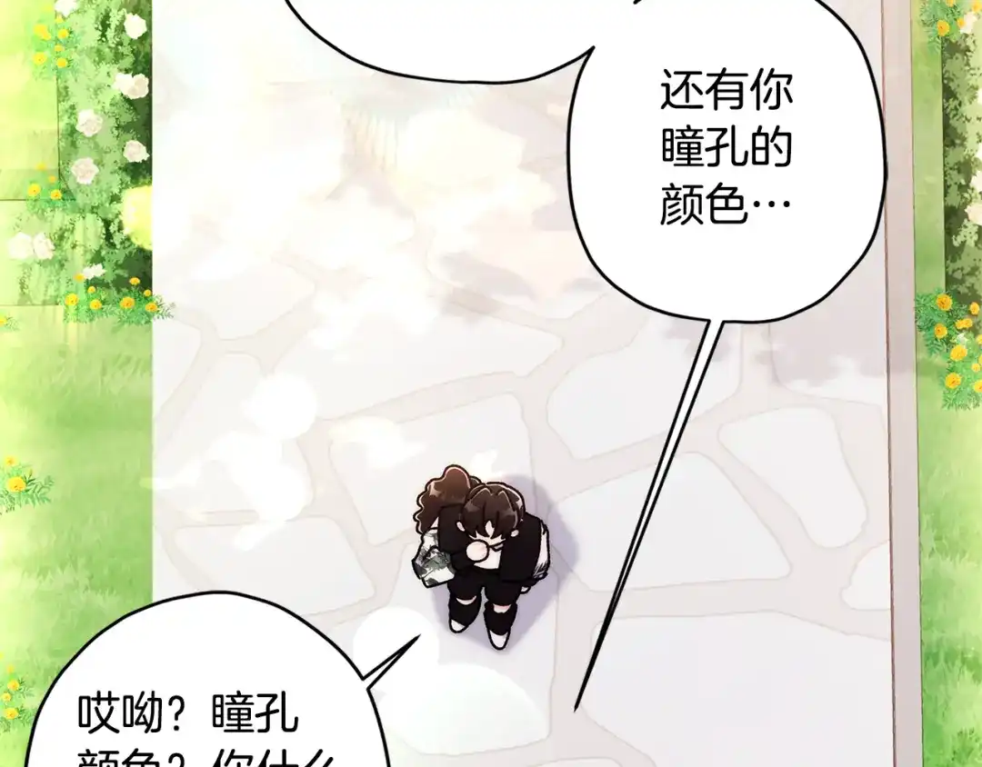 成为男主的养女 第167话 每个人都有秘密 第164页