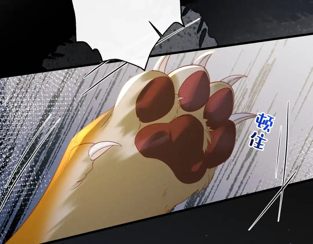 暴君一家靠听她心声续命 第108话 猛兽贴贴 第17页