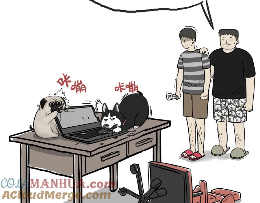 第55页
