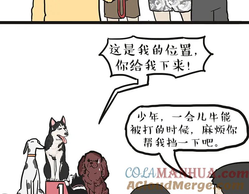 第46页