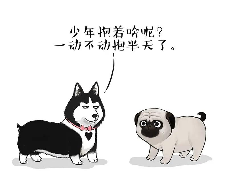 第31页