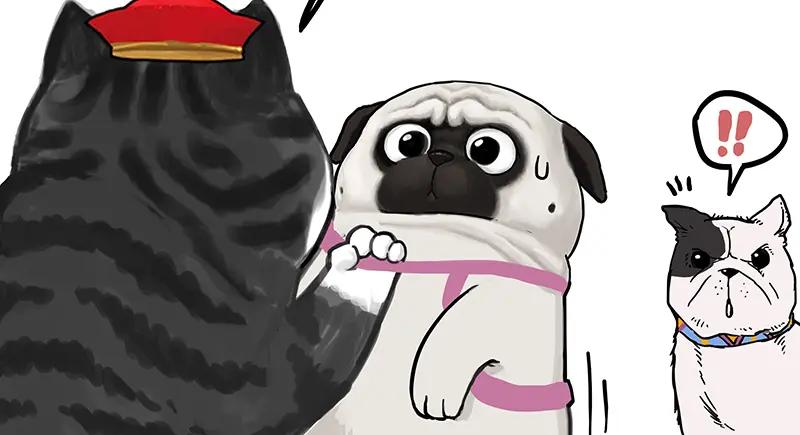 第62页