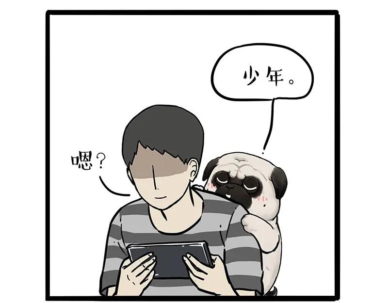 第41页