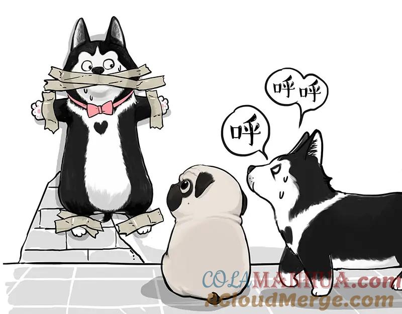 第55页