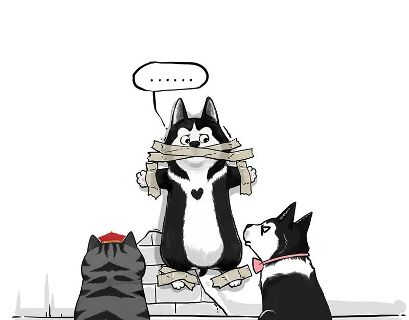 第65页