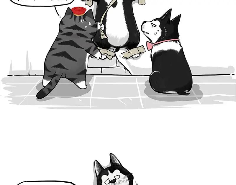 第68页