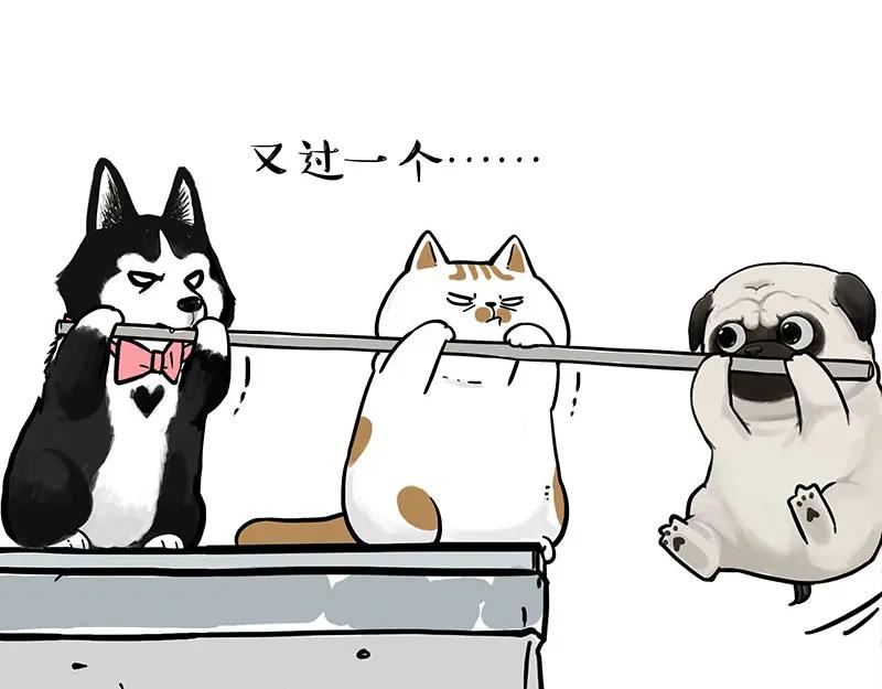 第51页