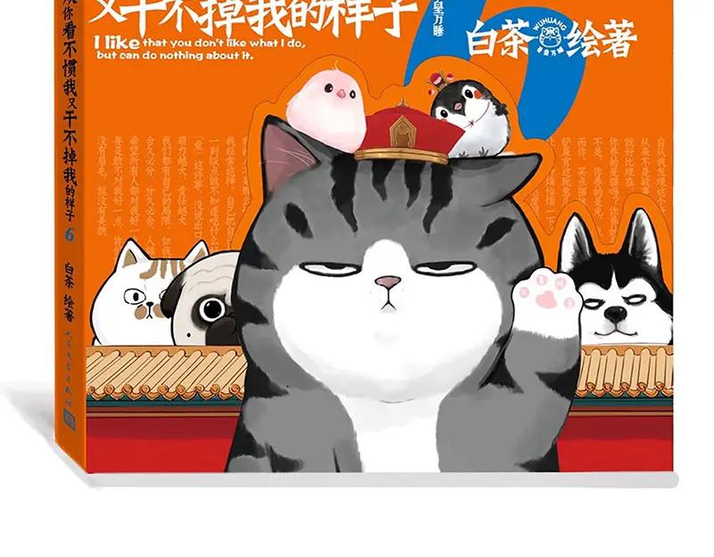 第66页