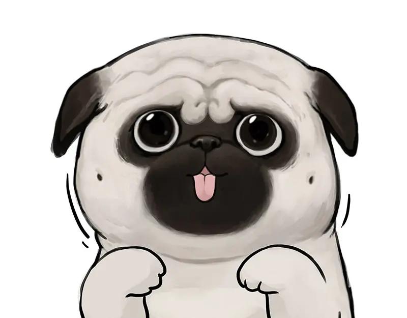 第6页