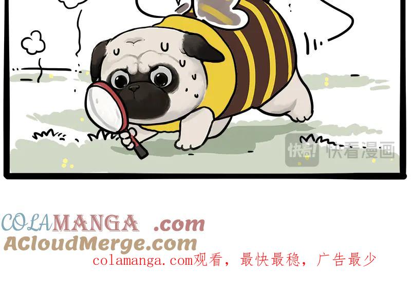 第190页