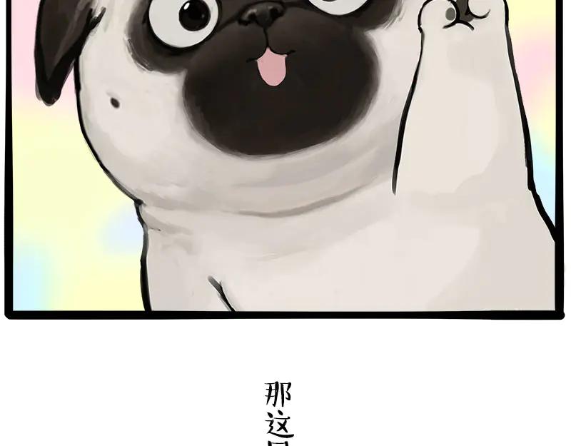 第186页
