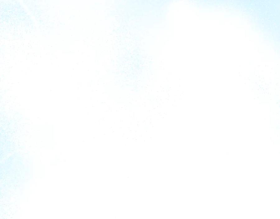 第303页
