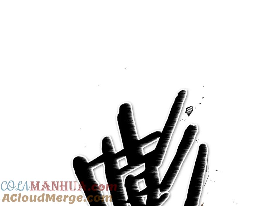 第205页