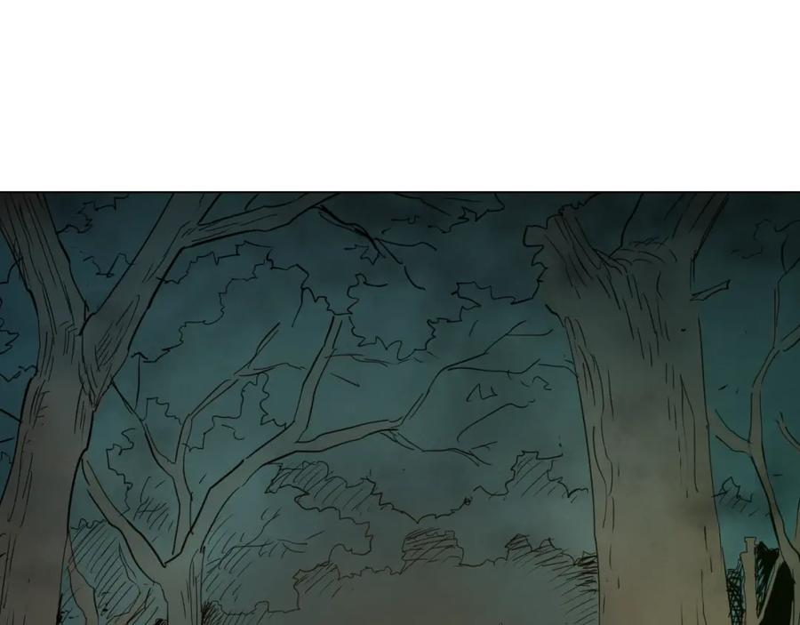 第204页