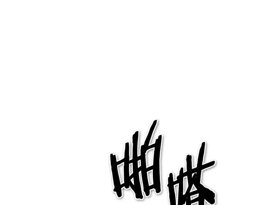 第223页
