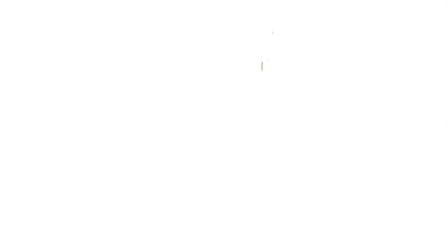第215页