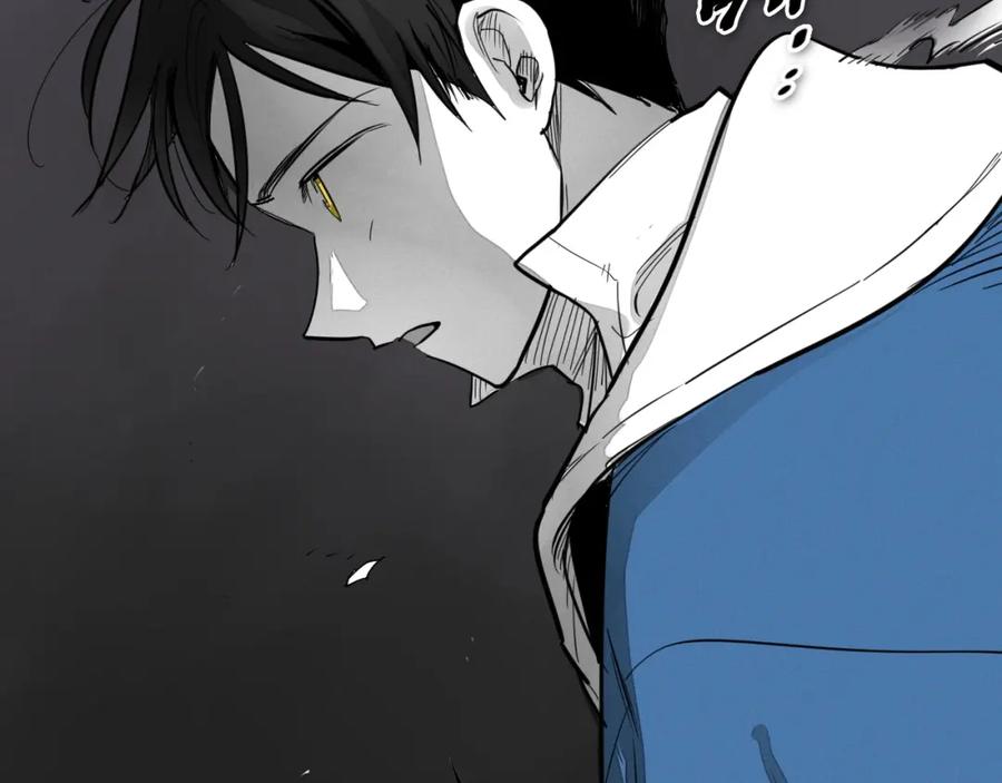 第226页