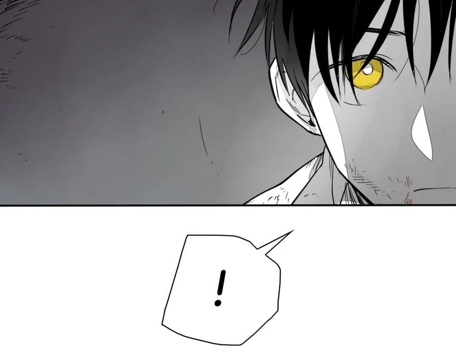 第243页