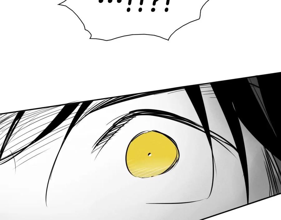 第252页