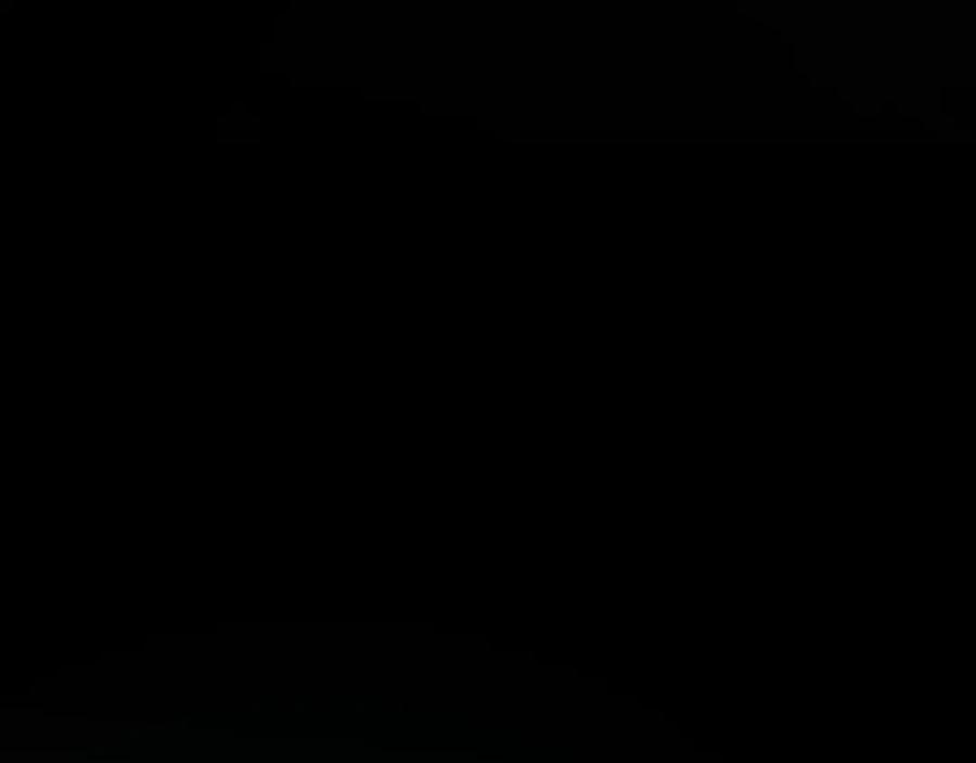 第226页