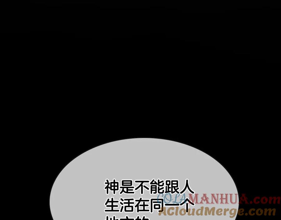 第229页