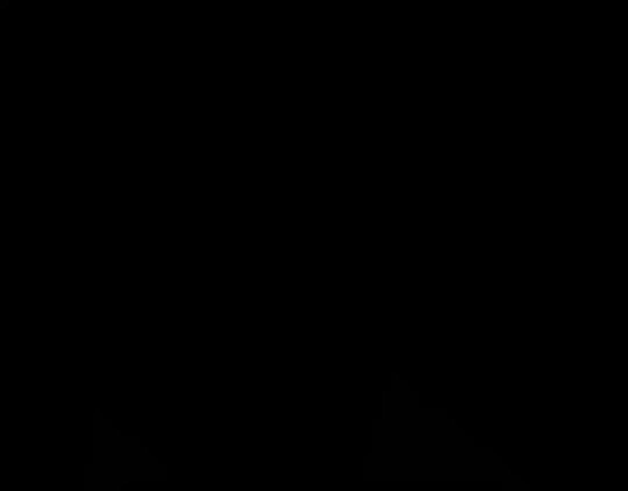 第256页