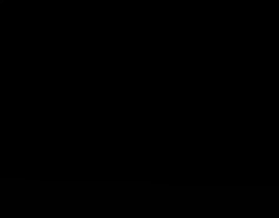 第264页