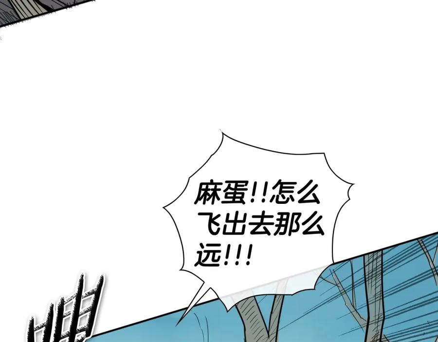 第223页